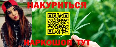 гидра Славянск-на-Кубани