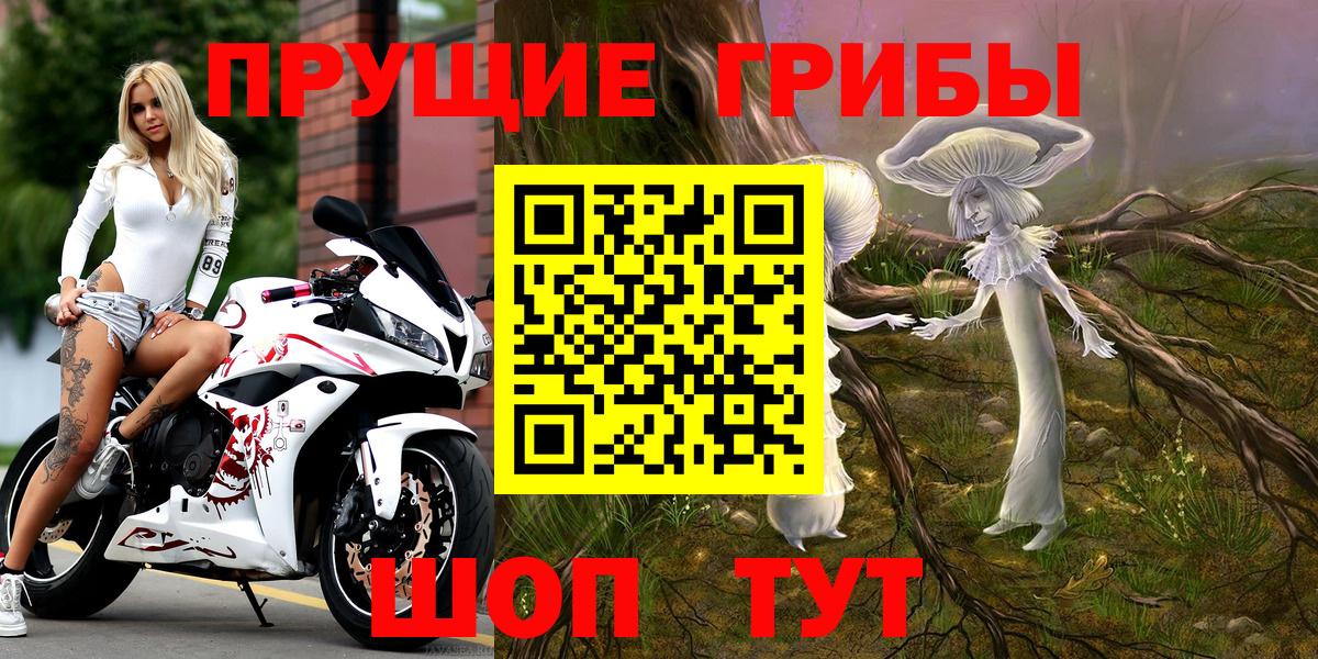 Псилоцибиновые грибы Cubensis Наро-Фоминск